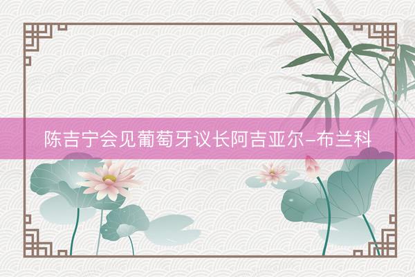 陈吉宁会见葡萄牙议长阿吉亚尔-布兰科