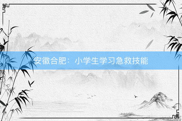 安徽合肥：小学生学习急救技能