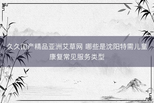 久久国产精品亚洲艾草网 哪些是沈阳特需儿童康复常见服务类型