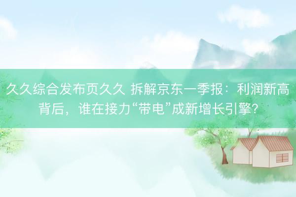 久久综合发布页久久 拆解京东一季报：利润新高背后，谁在接力“带电”成新增长引擎？
