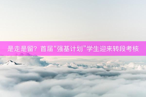 是走是留？首届“强基计划”学生迎来转段考核
