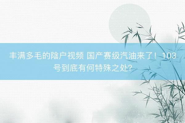 丰满多毛的陰户视频 国产赛级汽油来了！103号到底有何特殊之处？