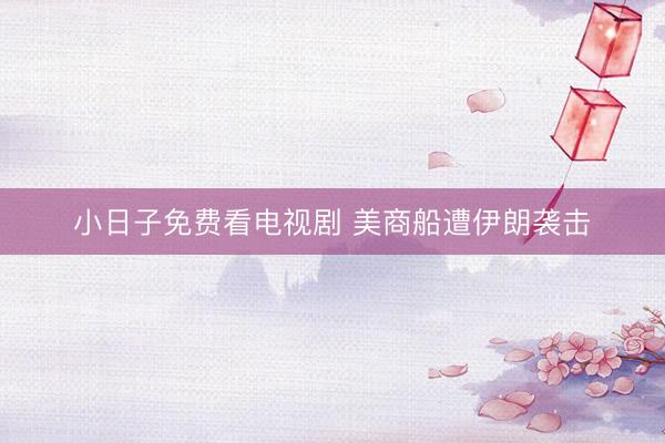 小日子免费看电视剧 美商船遭伊朗袭击