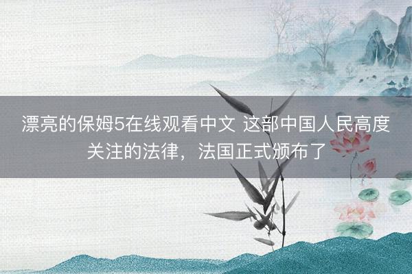 漂亮的保姆5在线观看中文 这部中国人民高度关注的法律，法国正式颁布了