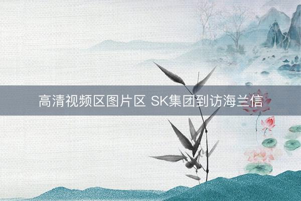 高清视频区图片区 SK集团到访海兰信