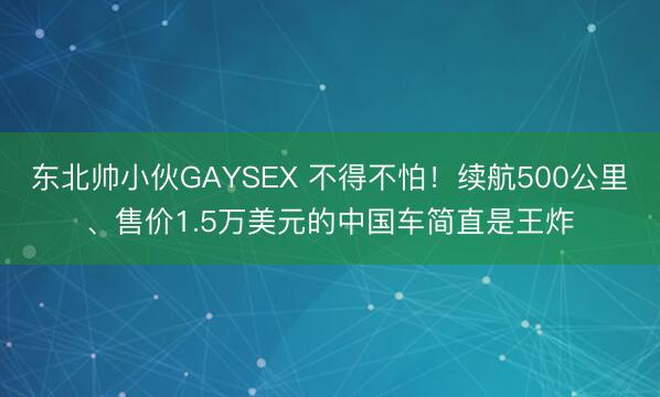 东北帅小伙GAYSEX 不得不怕！续航500公里、售价1.5万美元的中国车简直是王炸
