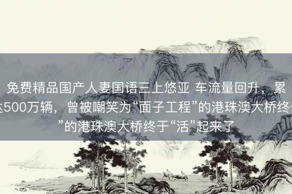 免费精品国产人妻国语三上悠亚 车流量回升，累计通车量已达500万辆，曾被嘲笑为“面子工程”的港珠澳大桥终于“活”起来了