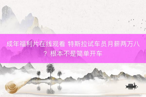 成年福利片在线观看 特斯拉试车员月薪两万八?根本不是简单开车