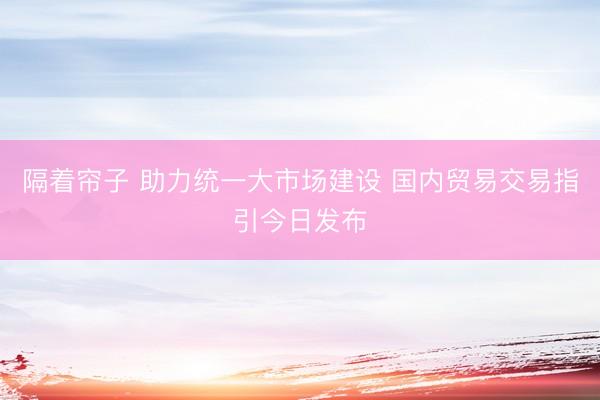 隔着帘子 助力统一大市场建设 国内贸易交易指引今日发布