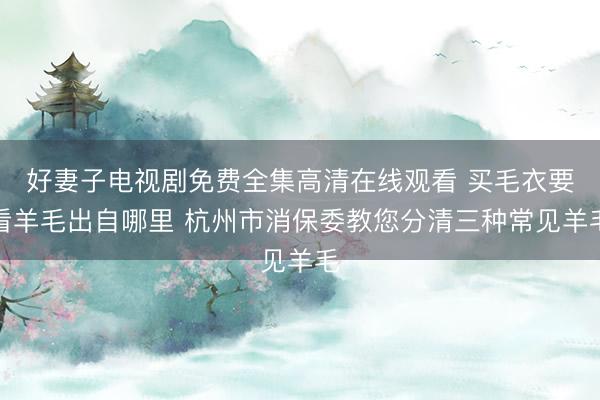 好妻子电视剧免费全集高清在线观看 买毛衣要看羊毛出自哪里 杭州市消保委教您分清三种常见羊毛