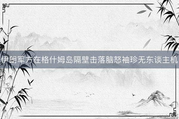 伊朗军方在格什姆岛隔壁击落脑怒袖珍无东谈主机