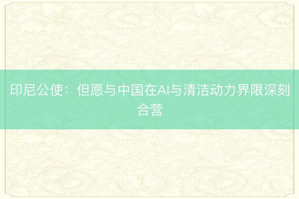 印尼公使：但愿与中国在AI与清洁动力界限深刻合营