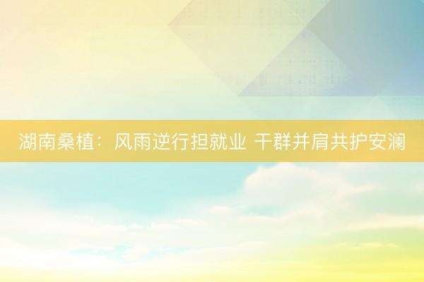 湖南桑植：风雨逆行担就业 干群并肩共护安澜