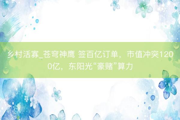 乡村活寡_苍穹神鹰 签百亿订单，市值冲突1200亿，东阳光“豪赌”算力
