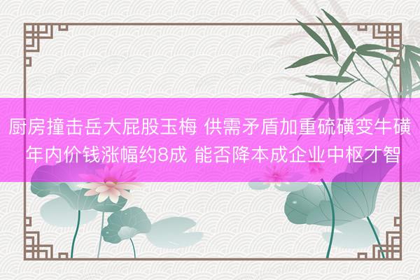 厨房撞击岳大屁股玉梅 供需矛盾加重硫磺变牛磺 年内价钱涨幅约8成 能否降本成企业中枢才智
