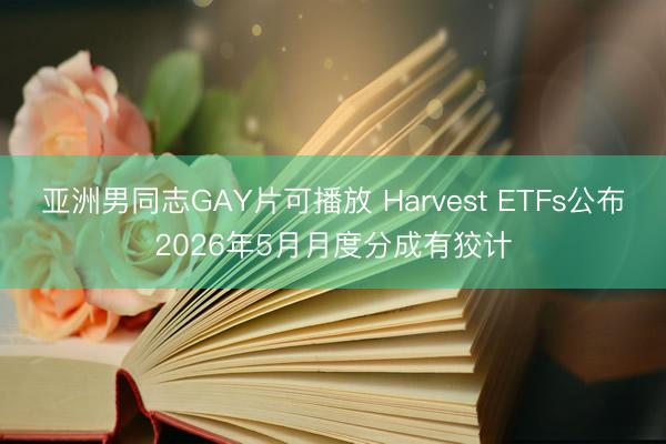 亚洲男同志GAY片可播放 Harvest ETFs公布2026年5月月度分成有狡计
