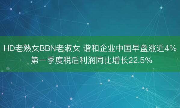 HD老熟女BBN老淑女 谐和企业中国早盘涨近4% 第一季度税后利润同比增长22.5%