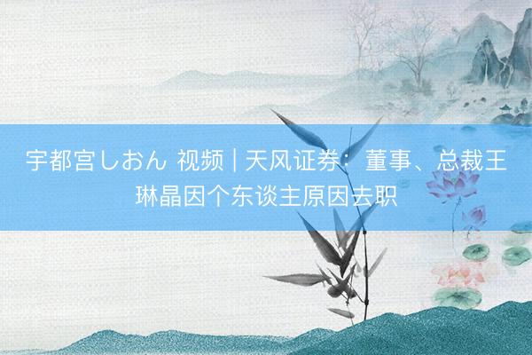 宇都宫しおん 视频 | 天风证券：董事、总裁王琳晶因个东谈主原因去职