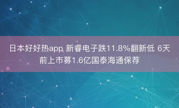 日本好好热app 新睿电子跌11.8%翻新低 6天前上市募1.6亿国泰海通保荐