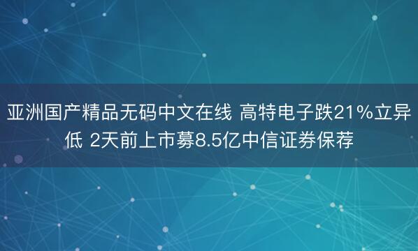 亚洲国产精品无码中文在线 高特电子跌21%立异低 2天前上市募8.5亿中信证券保荐