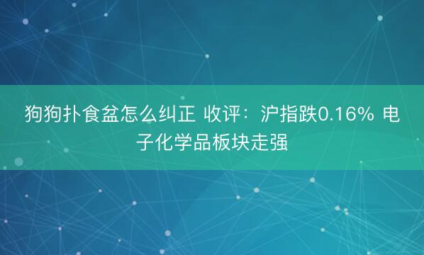 狗狗扑食盆怎么纠正 收评：沪指跌0.16% 电子化学品板块走强