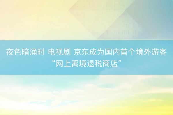 夜色暗涌时 电视剧 京东成为国内首个境外游客“网上离境退税商店”