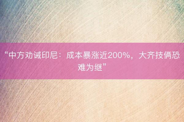 “中方劝诫印尼：成本暴涨近200%，大齐技俩恐难为继”