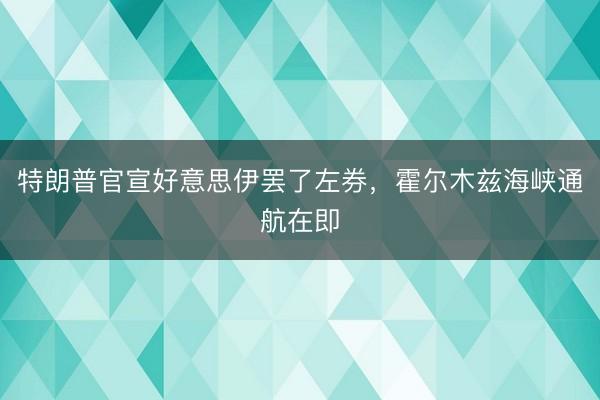 特朗普官宣好意思伊罢了左券，霍尔木兹海峡通航在即